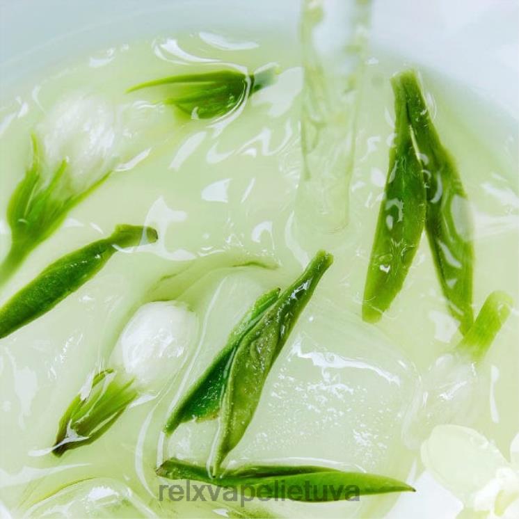 RELX Lietuva | RELX pod pro - 2 ankštys jazminų longjing arbata F8PPV11