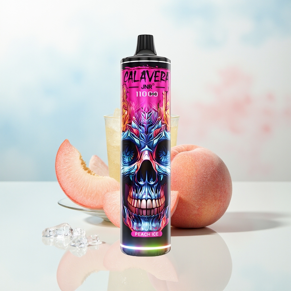 JNR Calavera 11000 Puffs 850mAh Type-C Persikas Ledas Wholesale Lithuania