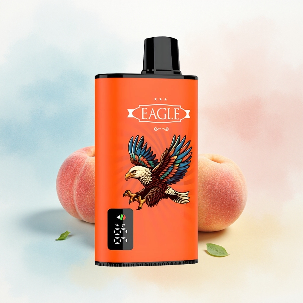 JNR EAGLE Smart 23000 Puffs Adjustable Airflow Type-C Charging Sultūs Persikai Wholesale Lithuania