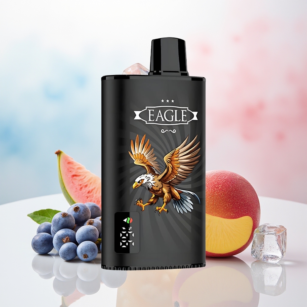 JNR EAGLE Smart 23000 Puffs Adjustable Airflow Type-C Juodųjų serbentų mango ledas Wholesale Lithuania