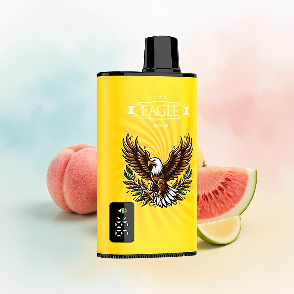 JNR EAGLE Smart 23000 Puffs Digital Screen Adjustable Airflow Persikų Mango Arbūzas Wholesale Lithuania