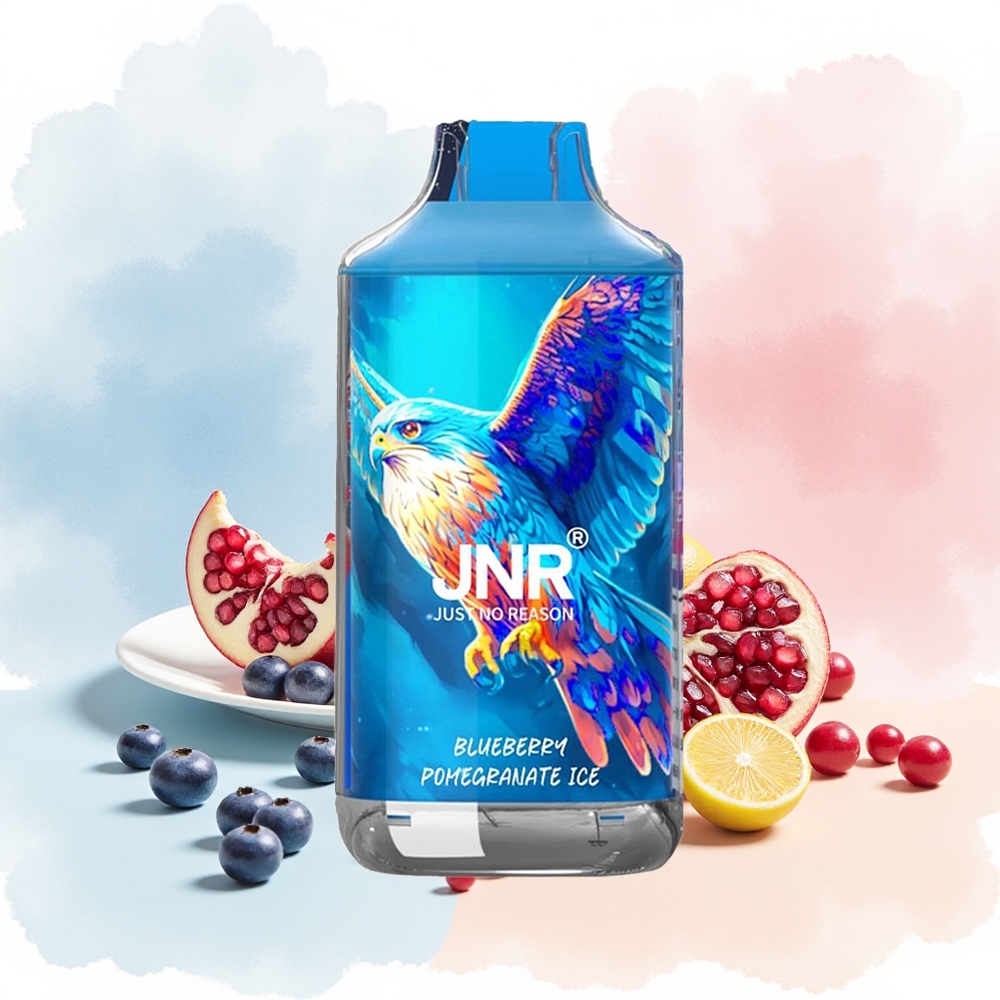 JNR Falcon 16000 Pūsų 22ml Mėlynės Granatų Ledas Wholesale Lithuania