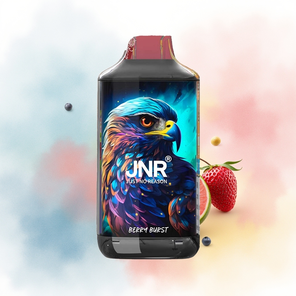 JNR Falcon 16000 Puffs 22ml Uogų Sprogimas Wholesale Lithuania