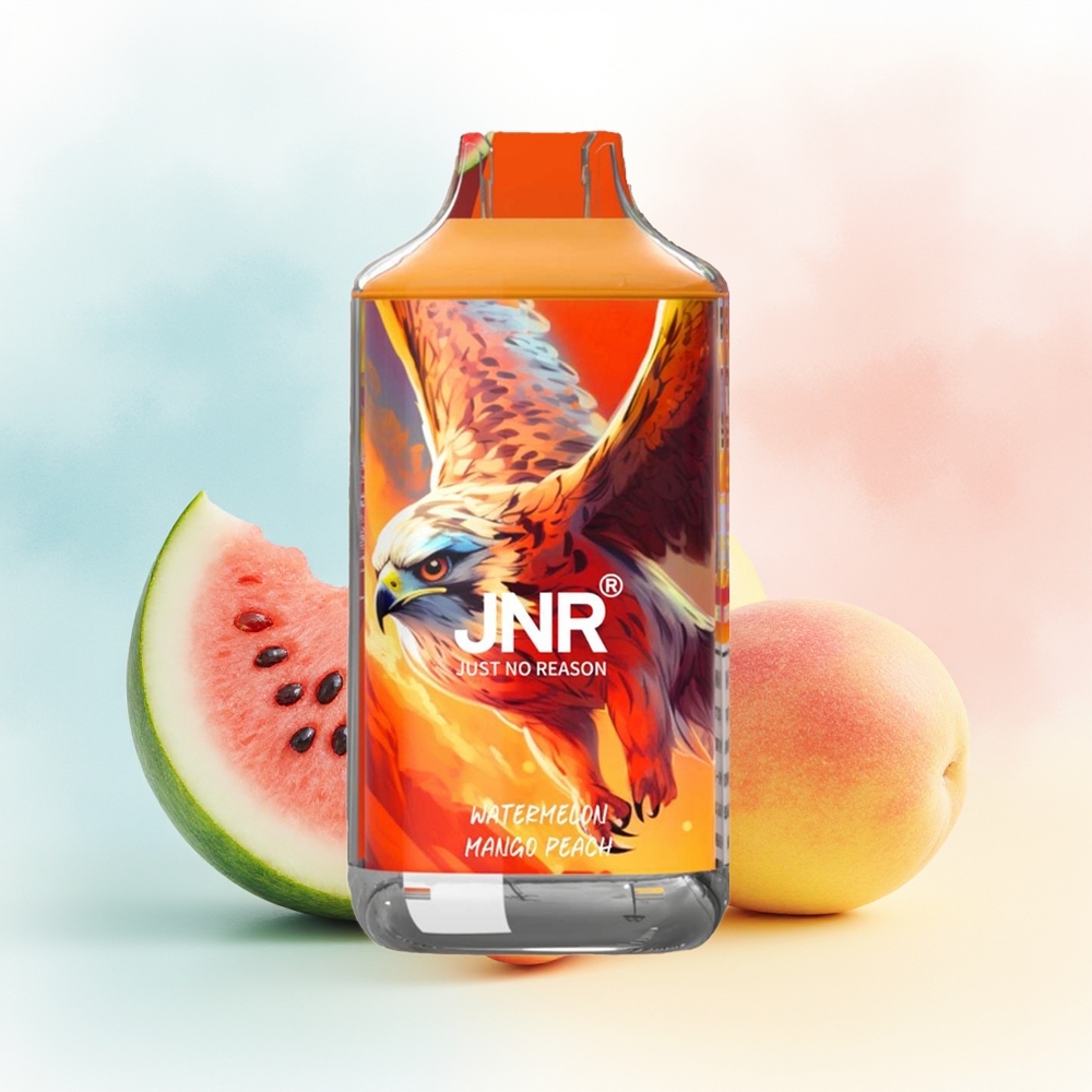 JNR Falcon 16000 Puffs 22ml Vandensmelionas Mango Persikas Wholesale Lithuania