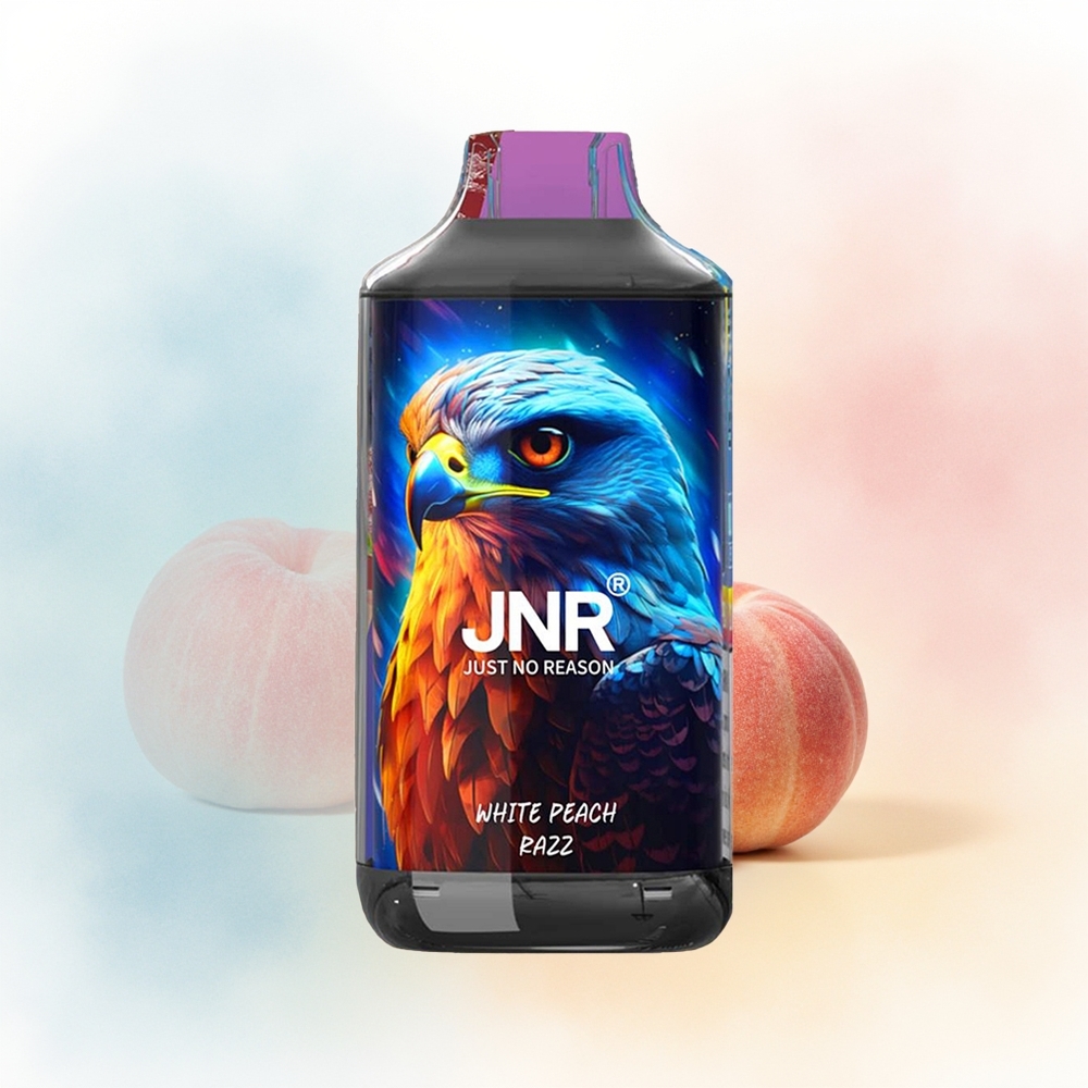 JNR Falcon 16000 Puffs 850 mAh Baltasis Persikas Razz Didmeninė Lietuva