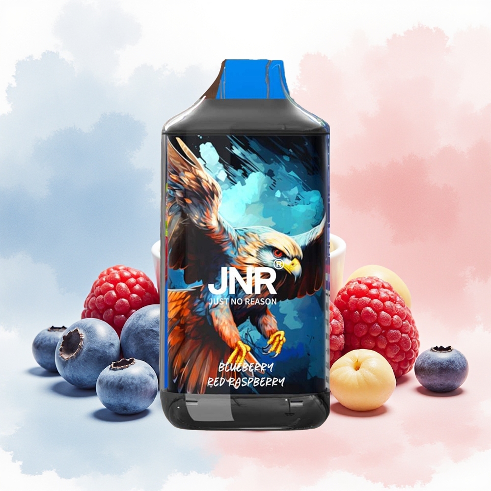 JNR Falcon 16000 Puffs Dual Mesh Coil Mėlynųjų Serbentų Raudonųjų Aviečių Wholesale Lithuania