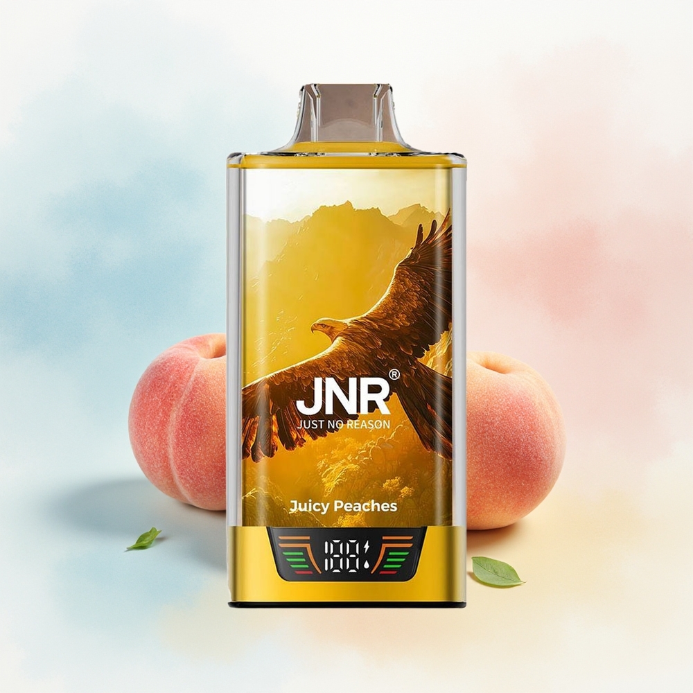 JNR Falcon Pro 28000 28000 Pūstų/950mAh Sultingi Persikai Didmeninė Prekė Lietuva