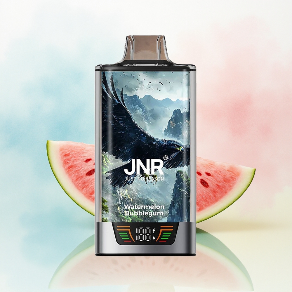 JNR Falcon Pro 28000 30000 Puffs USB Type-C Arbūzas Burbulis Gum Lithuania Wholesale