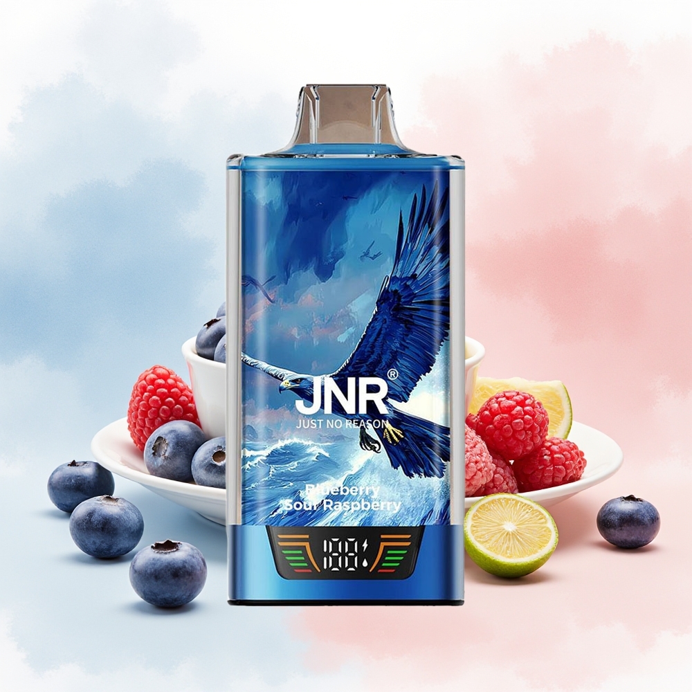 JNR Falcon Pro 28000 30000mAh Smart Display Mėlynųjų serbentų ir raudonųjų avietų Wholesale Lithuania