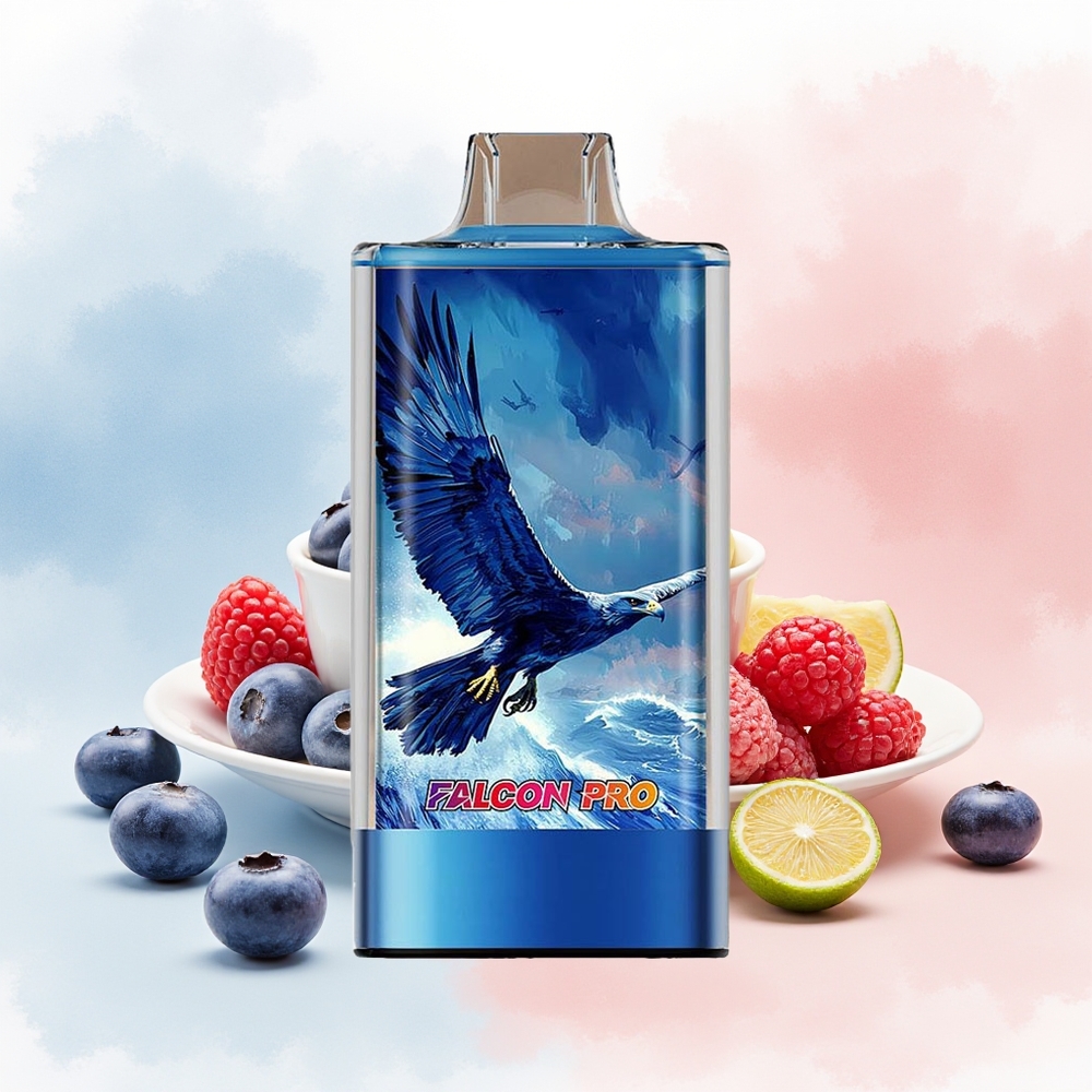 JNR Falcon Pro 28000 30000mAh Smart Display Mėlynųjų serbentų ir raudonųjų avietų Wholesale Lithuania