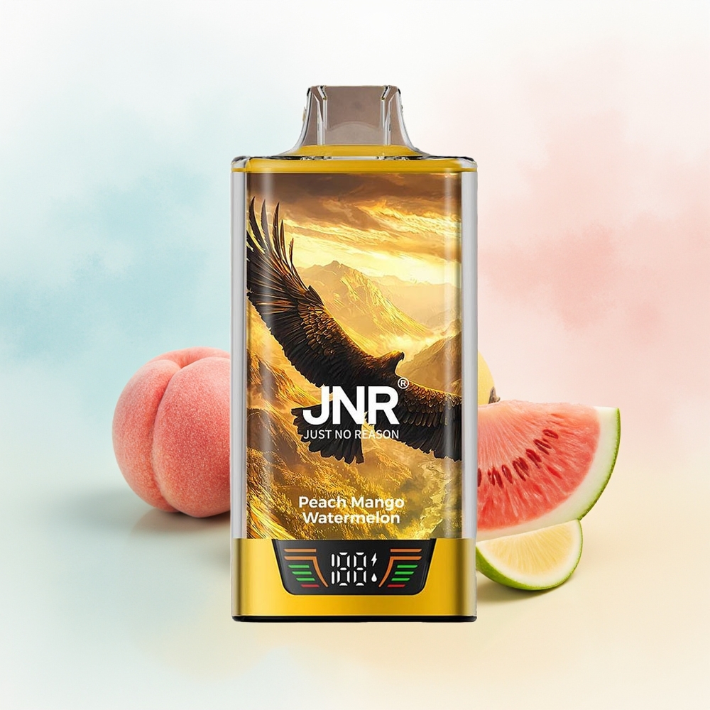 JNR Falcon Pro 28000 30ml 5% Persikų Mango Arbūzas Wholesale Lithuania