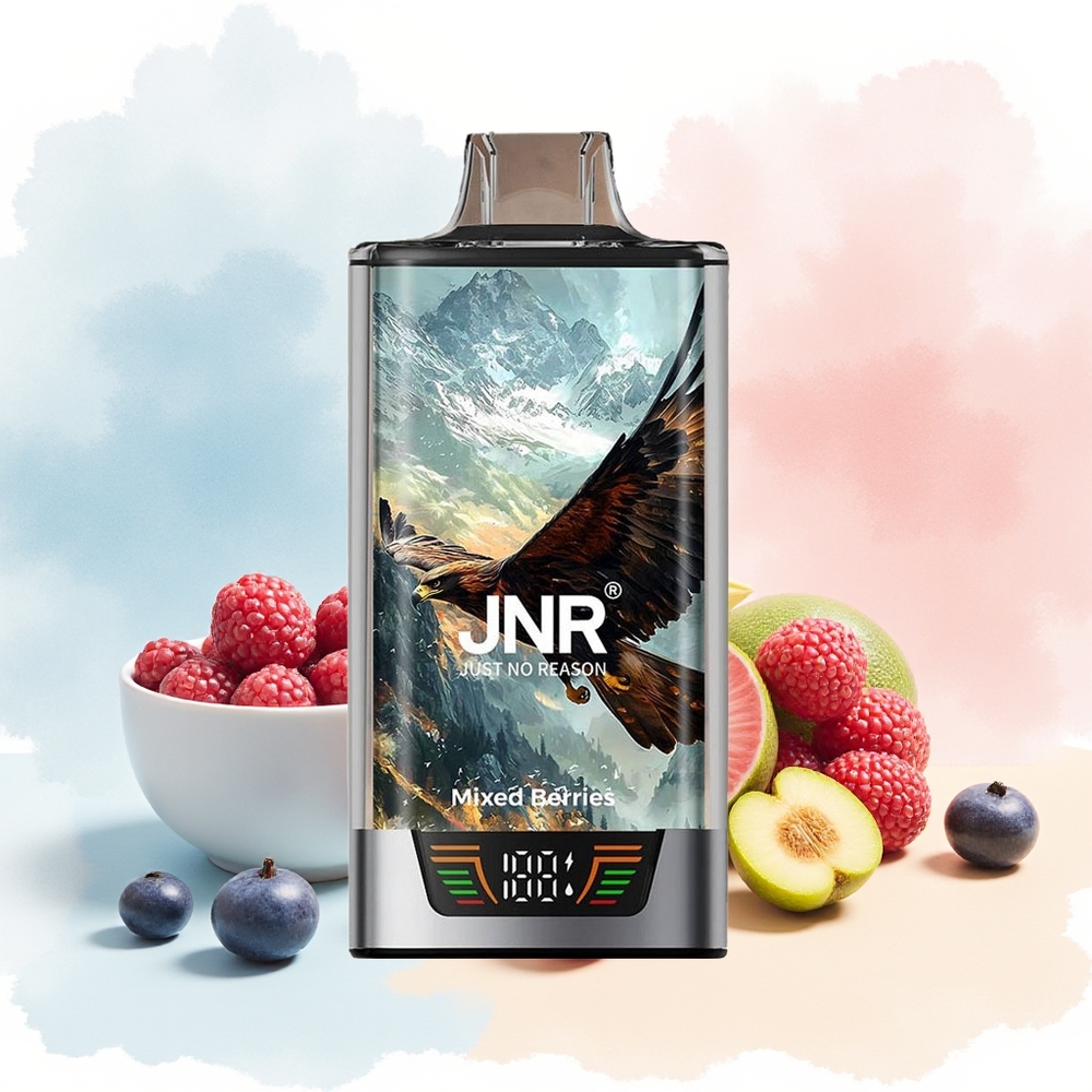 JNR Falcon Pro 28000 30ml 950mAh Mišrios Uogos Wholesale Lithuania