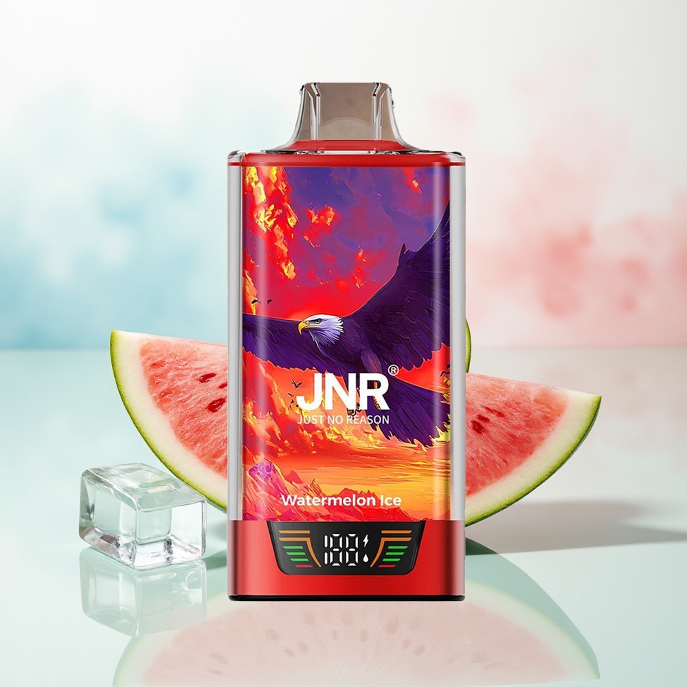 JNR Falcon Pro 28000 30ml USB Type-C Arbūzas Ledas Wholesale Lithuania