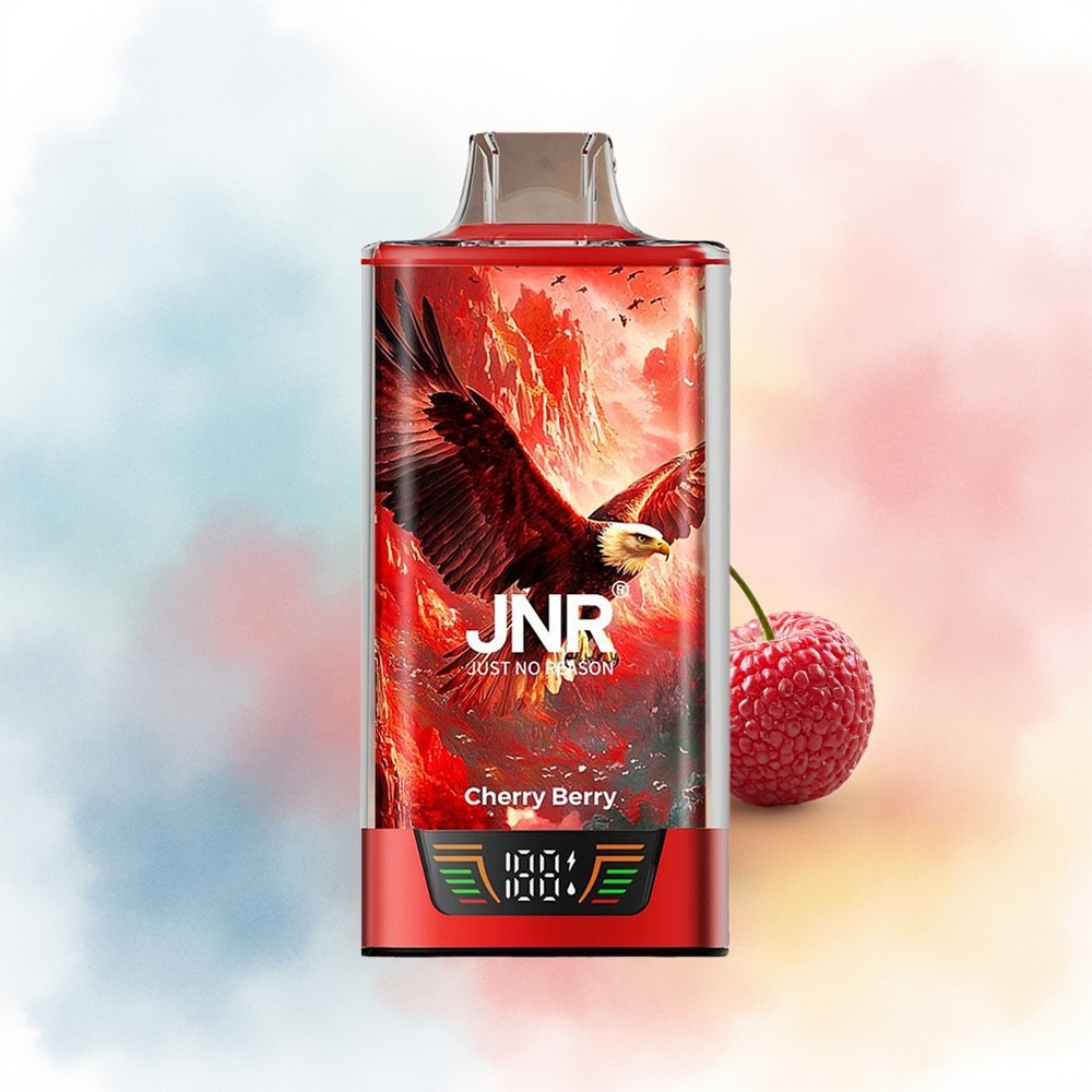 JNR Falcon Pro 28000 950mAh MTL Vyšnia Uoga Wholesale Lithuania