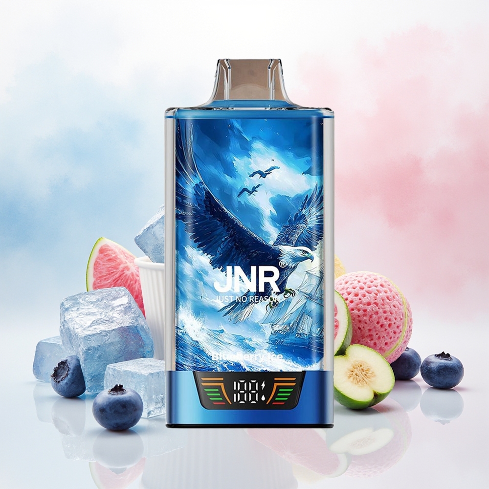 JNR Falcon Pro 28000 Įkrovimas per USB Type-C Dviguba Tinklelinė Spiralė Mėlynųjų Uogų Ledas Wholesale Lithuania