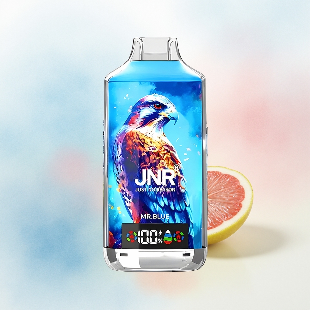 JNR Falcon X 18000 Puffs 24ml Mėlynasis Wholesale Lithuania