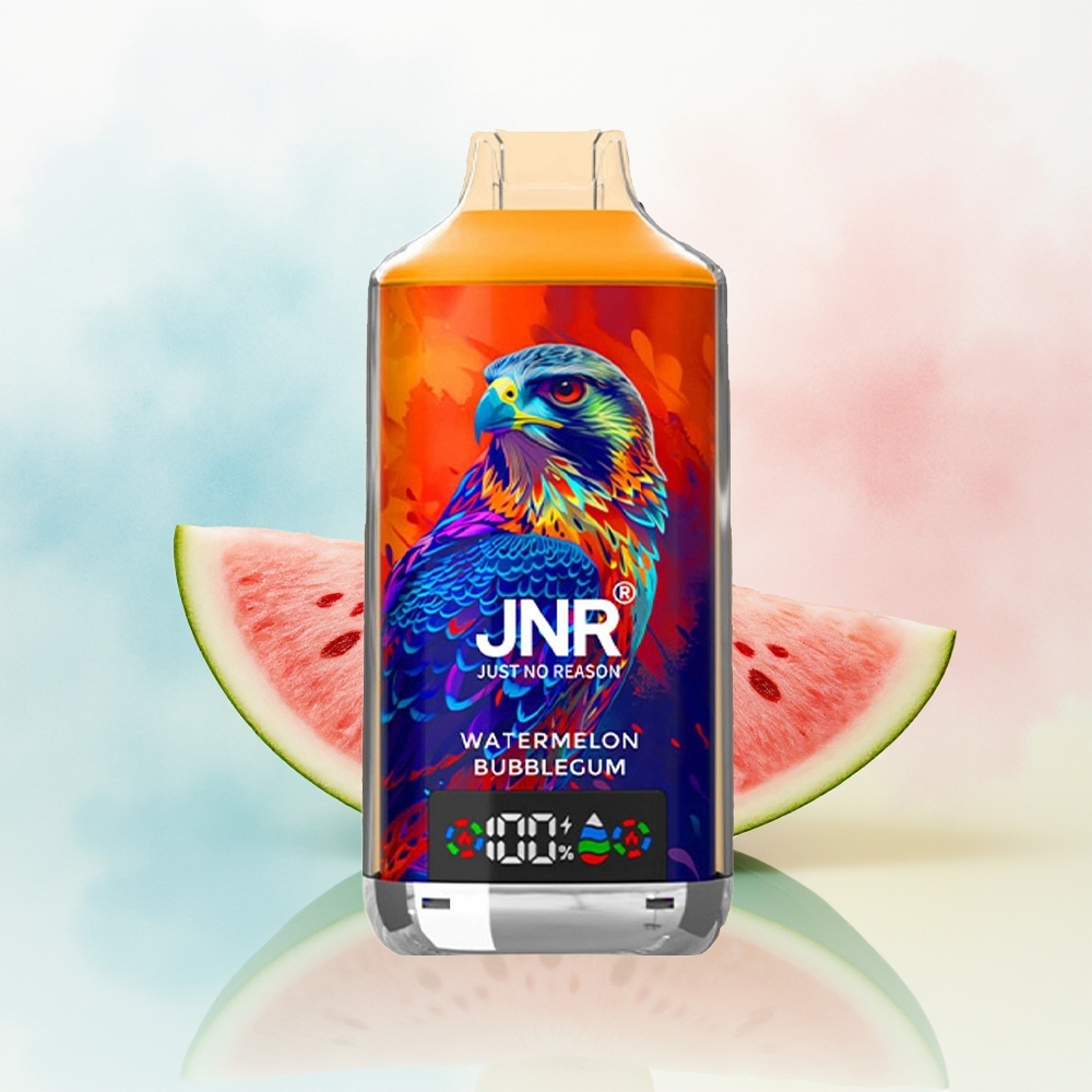 JNR Falcon X 18000 Puffs 24ml Watermelon Bubblegum Didžioji Prekyba Lietuva