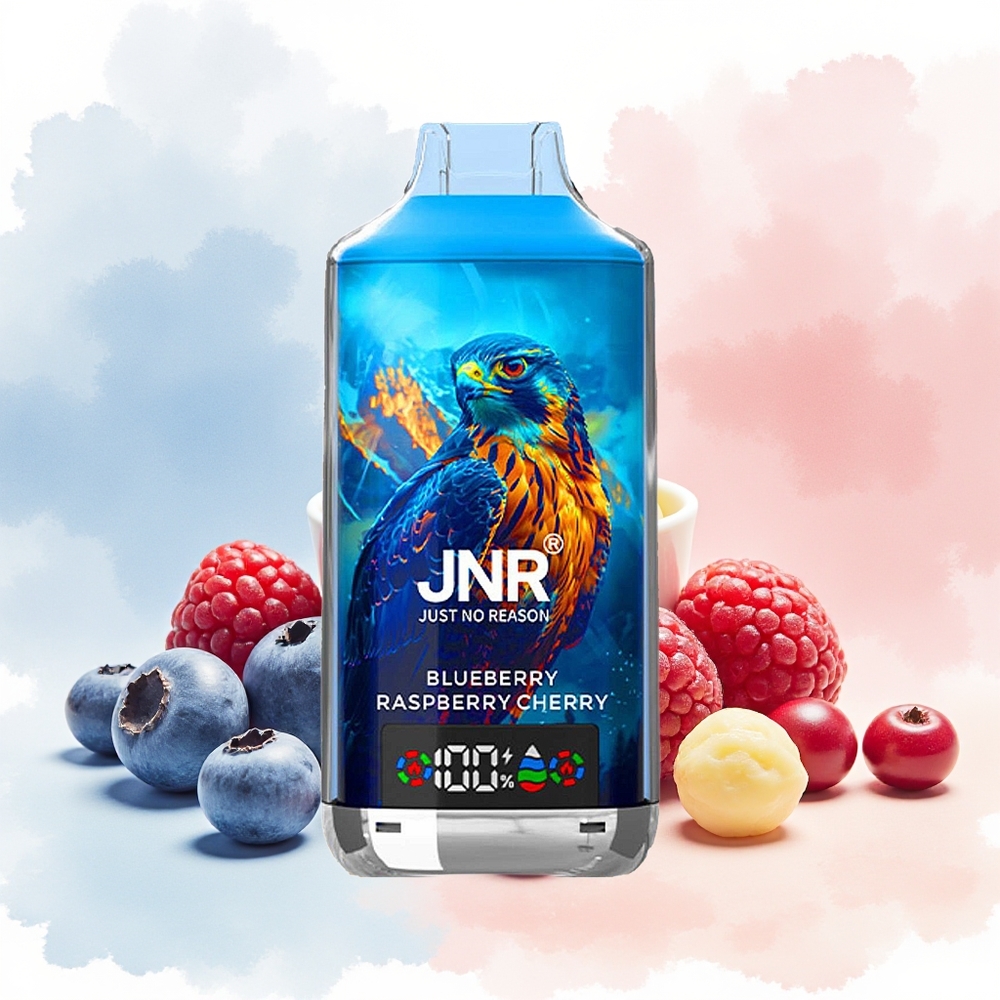 JNR Falcon X 18000 Puffs Dual Mesh Coil Mėlynųjų aviečių vyšnių skonis Wholesale Lithuania