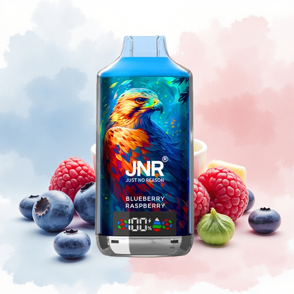 JNR Falcon X 18000 Puffs Dual Mesh Coil Mėlynės Avietės Wholesale Lithuania