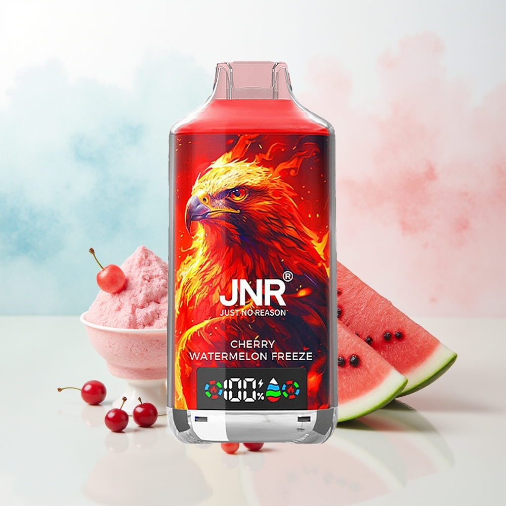 JNR Falcon X 18000 Puffs Dual Mesh Coil Vyšnių Arbūzo Užšalimas Wholesale Lithuania
