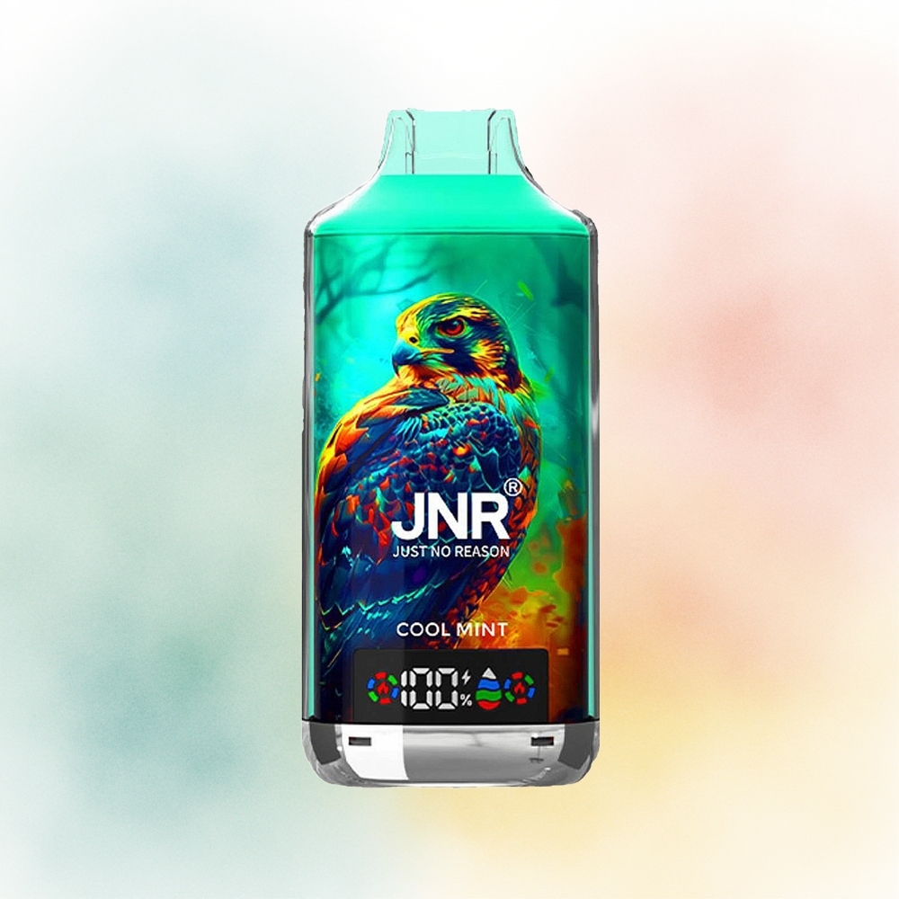 JNR Falcon X 18000 Puffs Dual Mesh Cool Mėta Didmeninė Lietuva