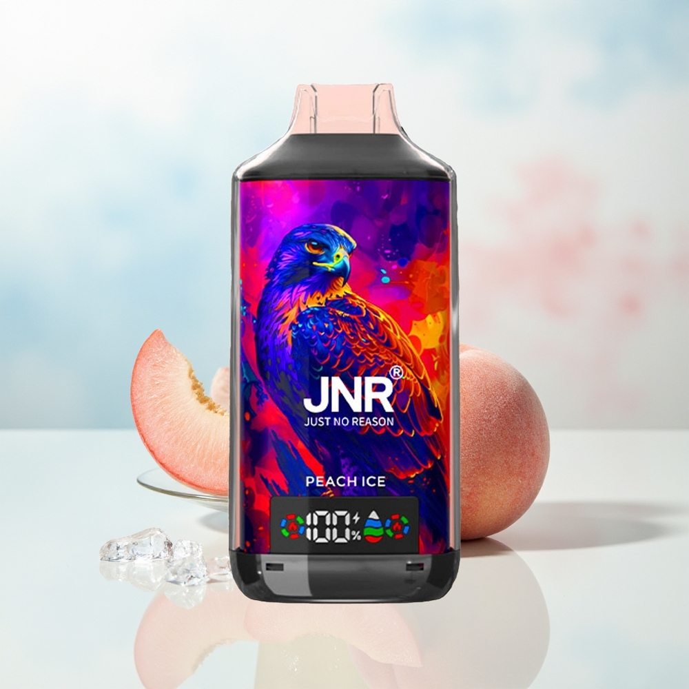 JNR Falcon X 18000 Puffs Dual Mesh Peach Ice Didmenys Lietuva