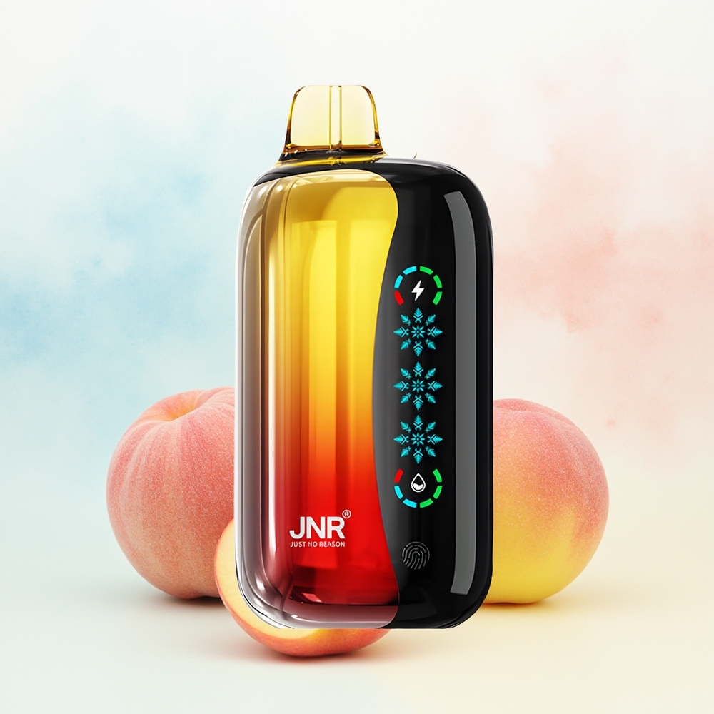 JNR Flex Ice 21000 Pūsų Customizable Airflow Persikas Mango Ananasas Wholesale Lithuania