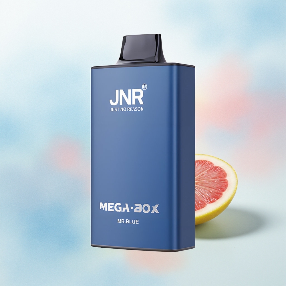 JNR Mega Box 25000 Puffs 30ml Mėlynasis Wholesale Lithuania