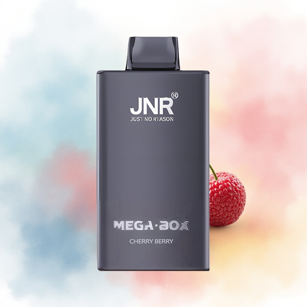 JNR Mega Box 25000 Puffs 30ml Vyšnių Uogų Wholesale Lithuania