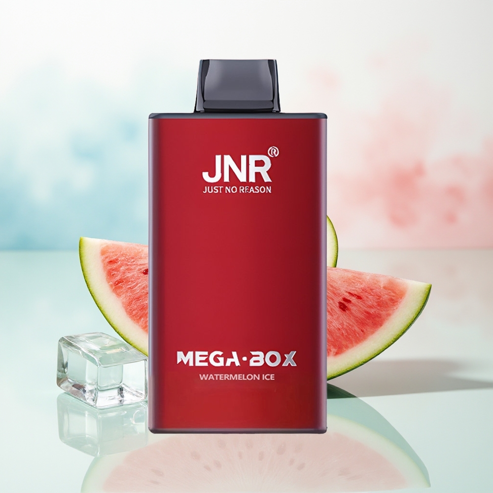 JNR Mega Box 25000 Puffs Dual Mesh Coil Arbūzas Ledas Wholesale Lithuania
