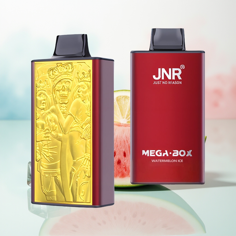 JNR Mega Box 25000 Puffs Dual Mesh Coil Arbūzas Ledas Wholesale Lithuania