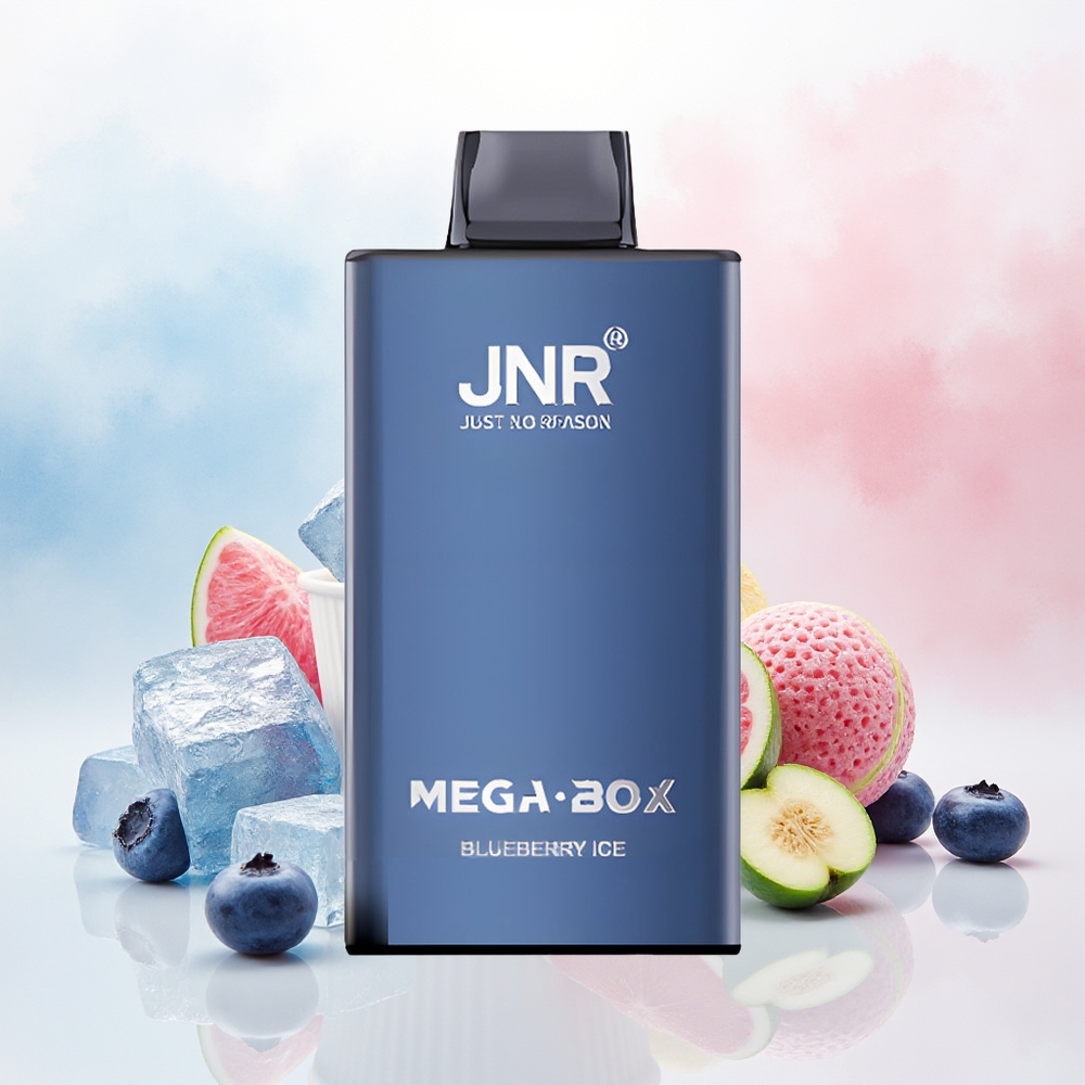 JNR Mega Box 25000 Puffs Dual Mesh Mėlynų Uogų Ledas Wholesale Lithuania