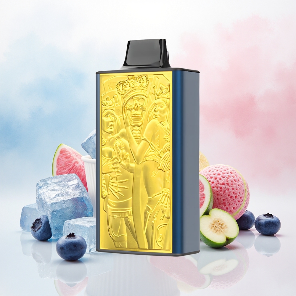 JNR Mega Box 25000 Puffs Dual Mesh Mėlynų Uogų Ledas Wholesale Lithuania