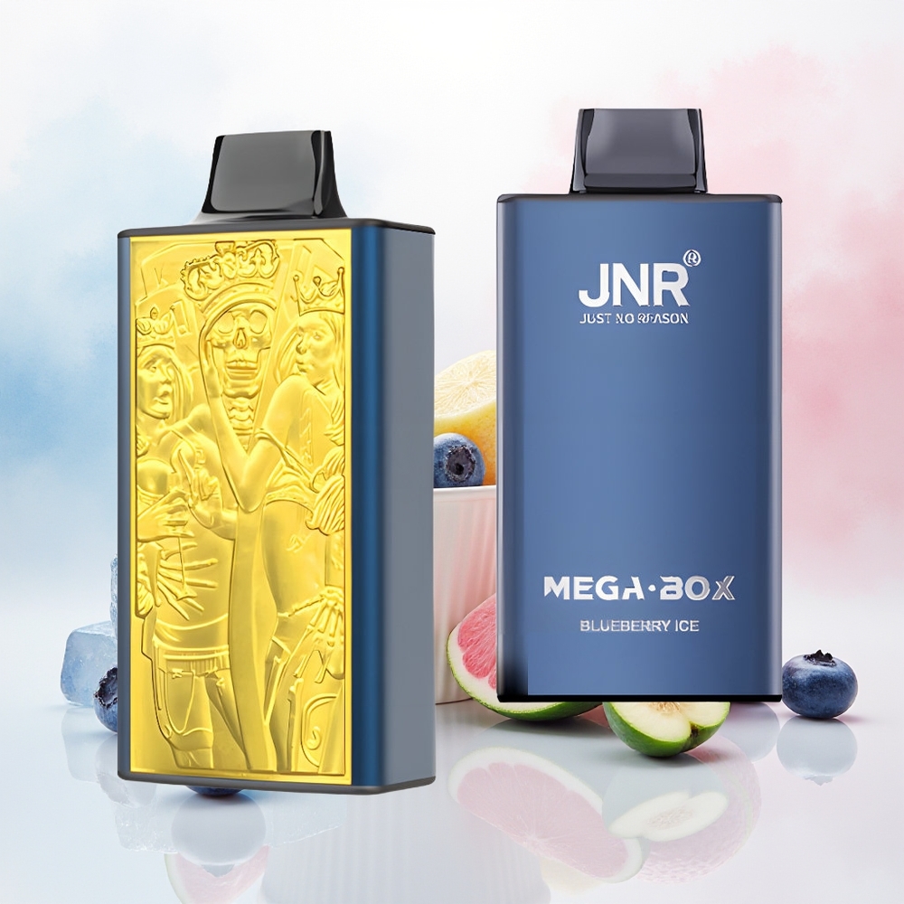 JNR Mega Box 25000 Puffs Dual Mesh Mėlynų Uogų Ledas Wholesale Lithuania