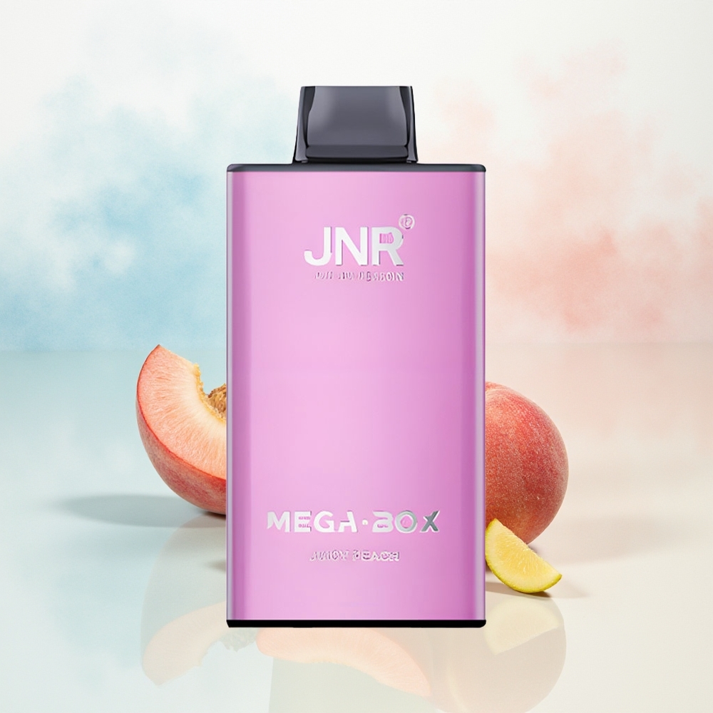 JNR Mega Box 25000 Puffs Dual Mesh Skanus Persikas Wholesale Lithuania