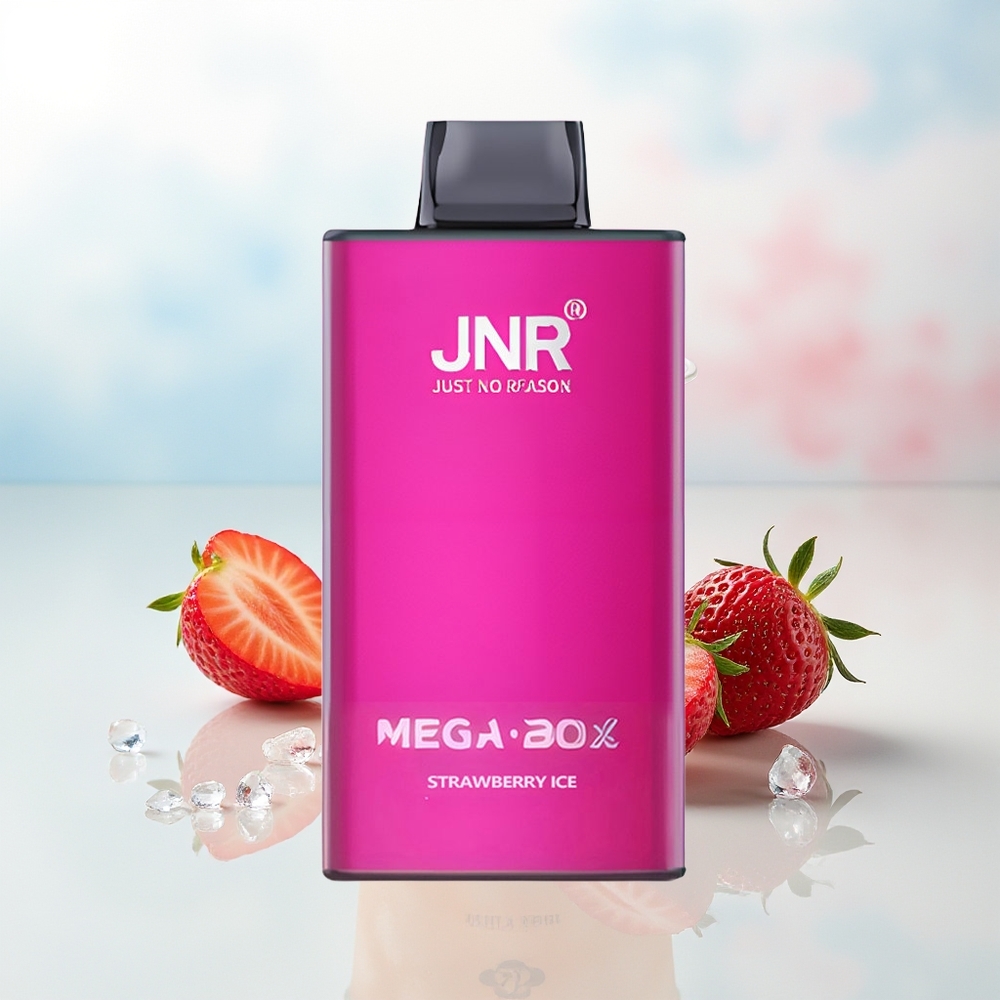 JNR Mega Box 25000 Puffs Dual Mesh Straipsniu ledas Wholesale Lithuania