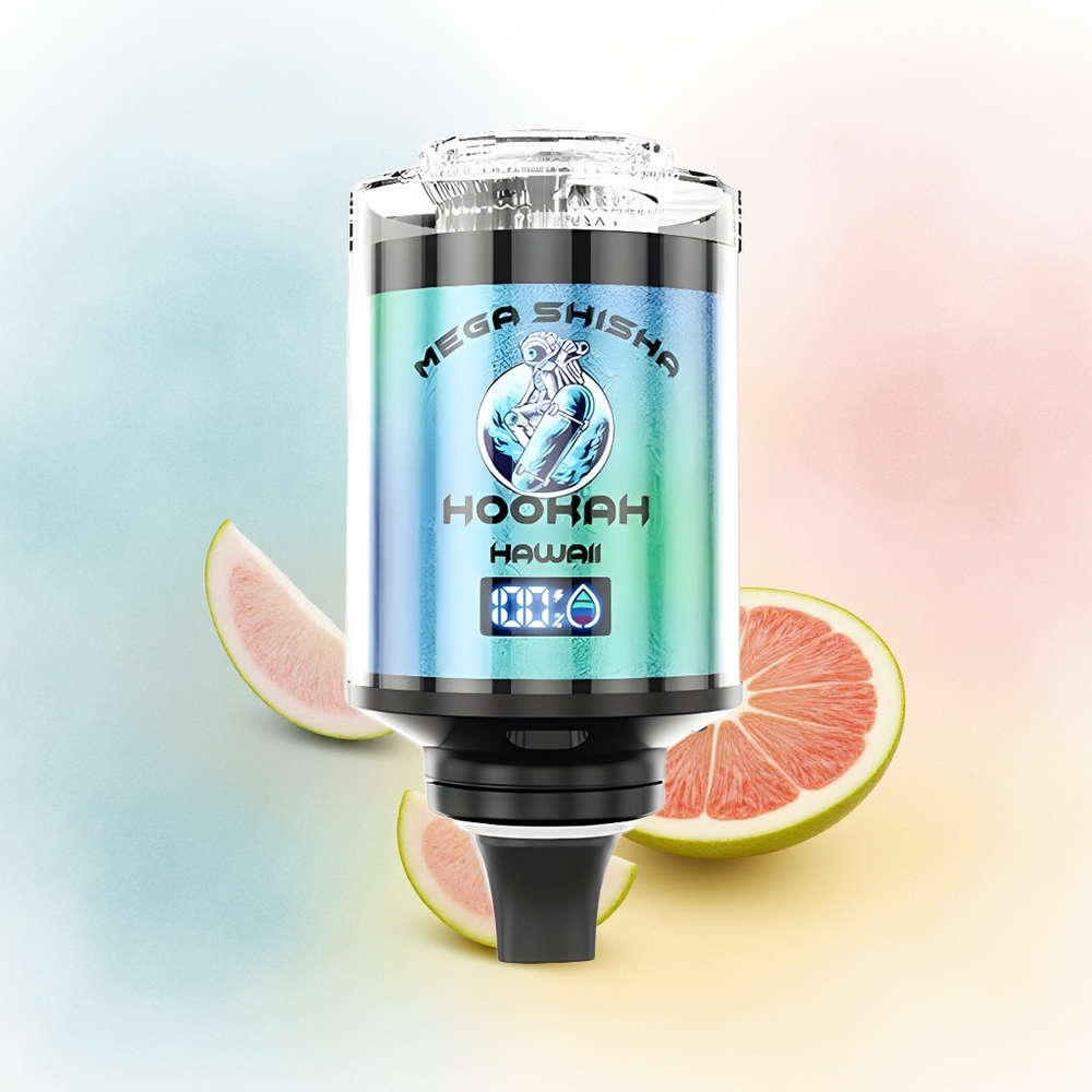 JNR Mega Shisha Hookah 100K 60ml Interactive Smart Screen Hawaii Didžioji Lietuva