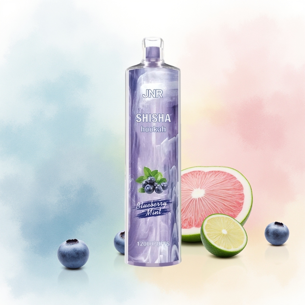 JNR Shisha Hookah 12000 Puffs 24ml Mėlynų Uogų Mėta Wholesale Lithuania