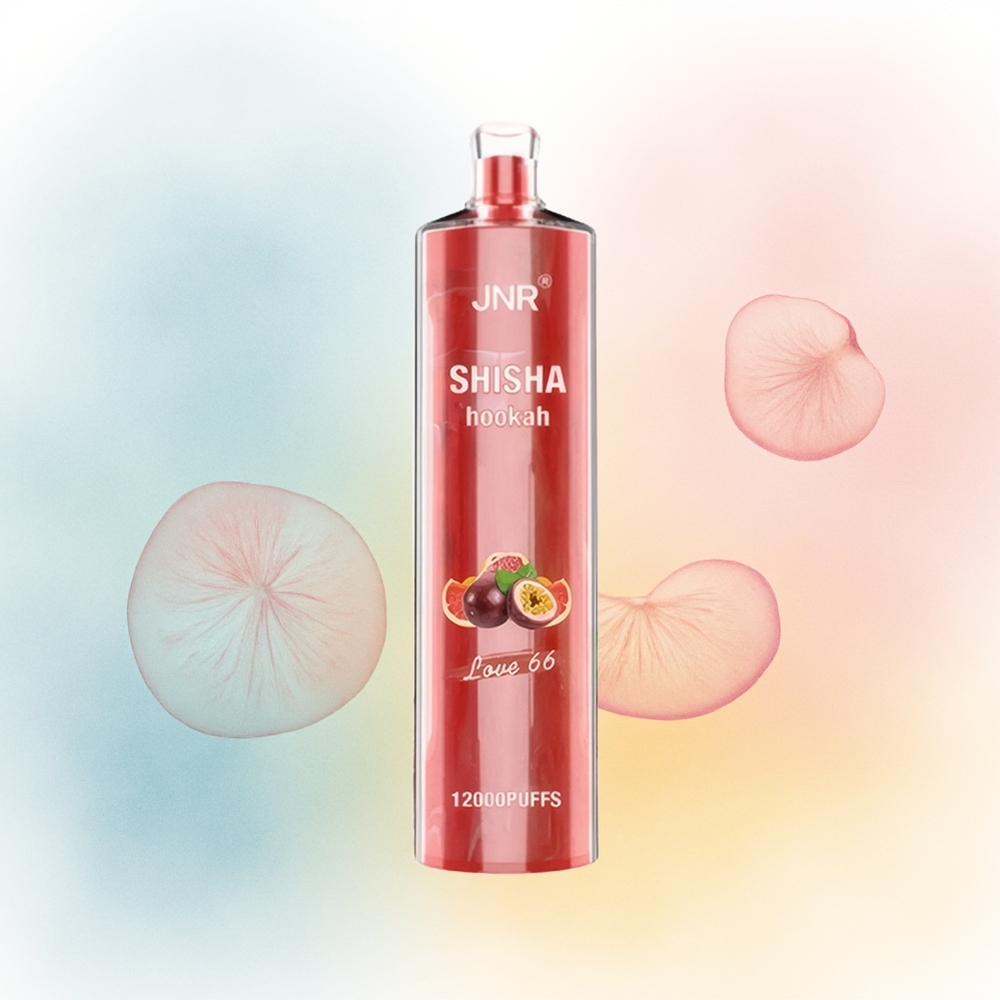 JNR Shisha Hookah 12000 Puffs 750mAh Meilė 66 Didmeninė prekyba Lietuva