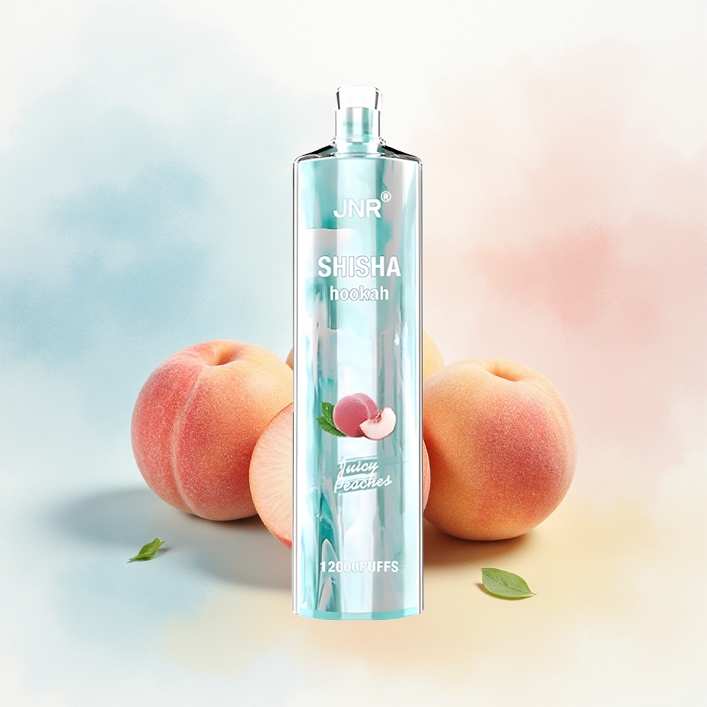 JNR Shisha Hookah 12000 Puffs 750mAh Sultūsios Persikos Wholesale Lithuania