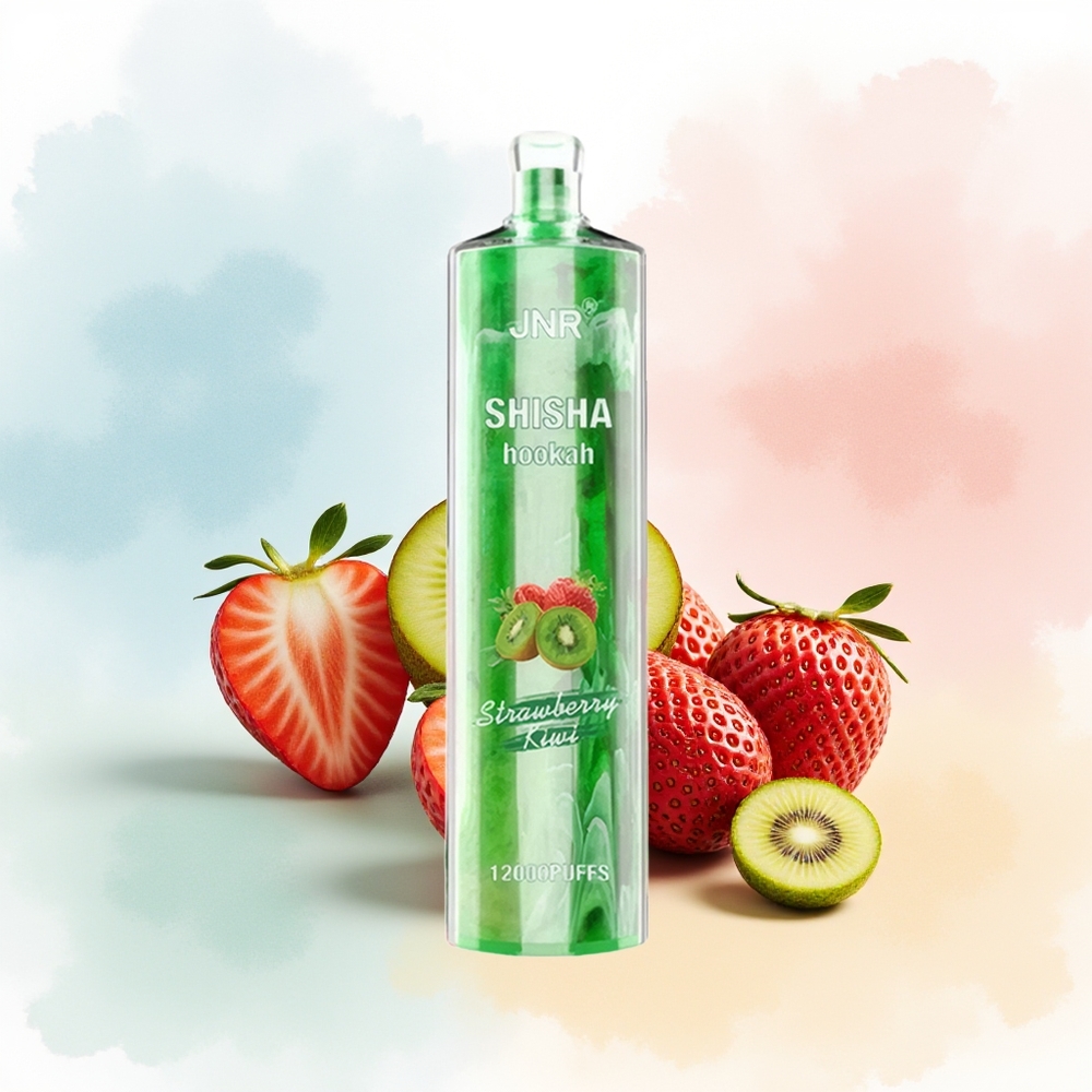 JNR Shisha Hookah 12000 Puffs 750mAh Type-C Brūkšnelinė Agurkas Lietuva Didmeninė