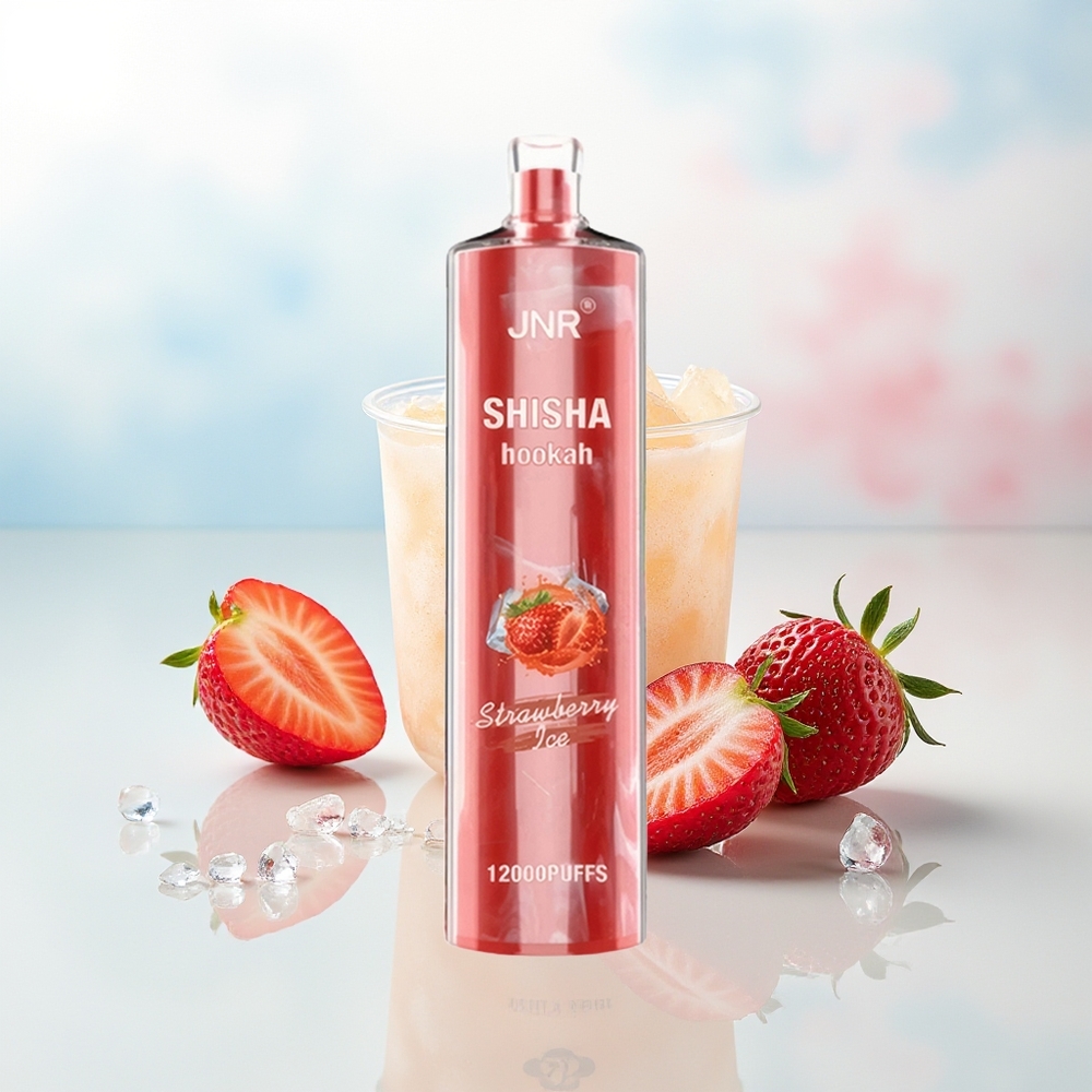 JNR Shisha Hookah 12000 Puffs 750mAh Type-C Lietuviška Žemuogės Ledas Wholesale Lithuania