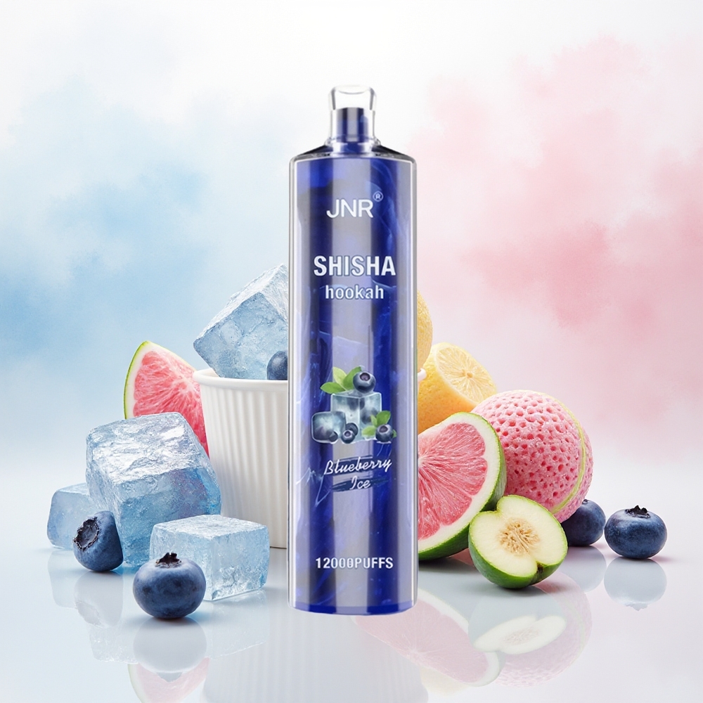 JNR Shisha Hookah 12000 Puffs 750mAh Type-C Mėlynų Uogų Ledas Wholesale Lithuania