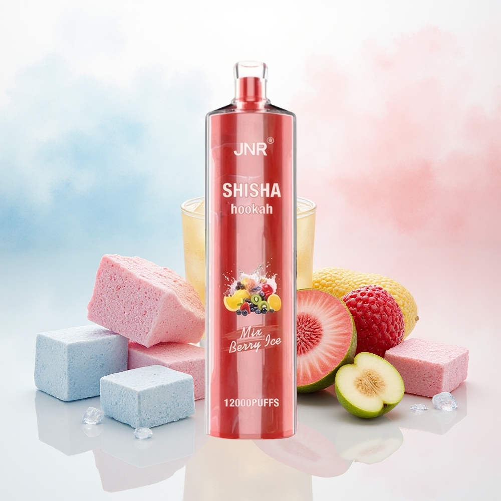 JNR Shisha Hookah 12000 Puffs 750mAh Uogų Ledas Wholesale Lithuania