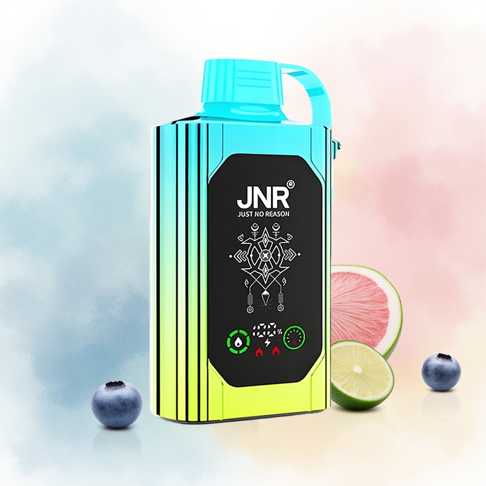 JNR Shisha Hookah 20500 Puffs Dual Mesh Coil Type-C Quick Charge Mėlynųjų Uogų Mėta Wholesale Lithuania