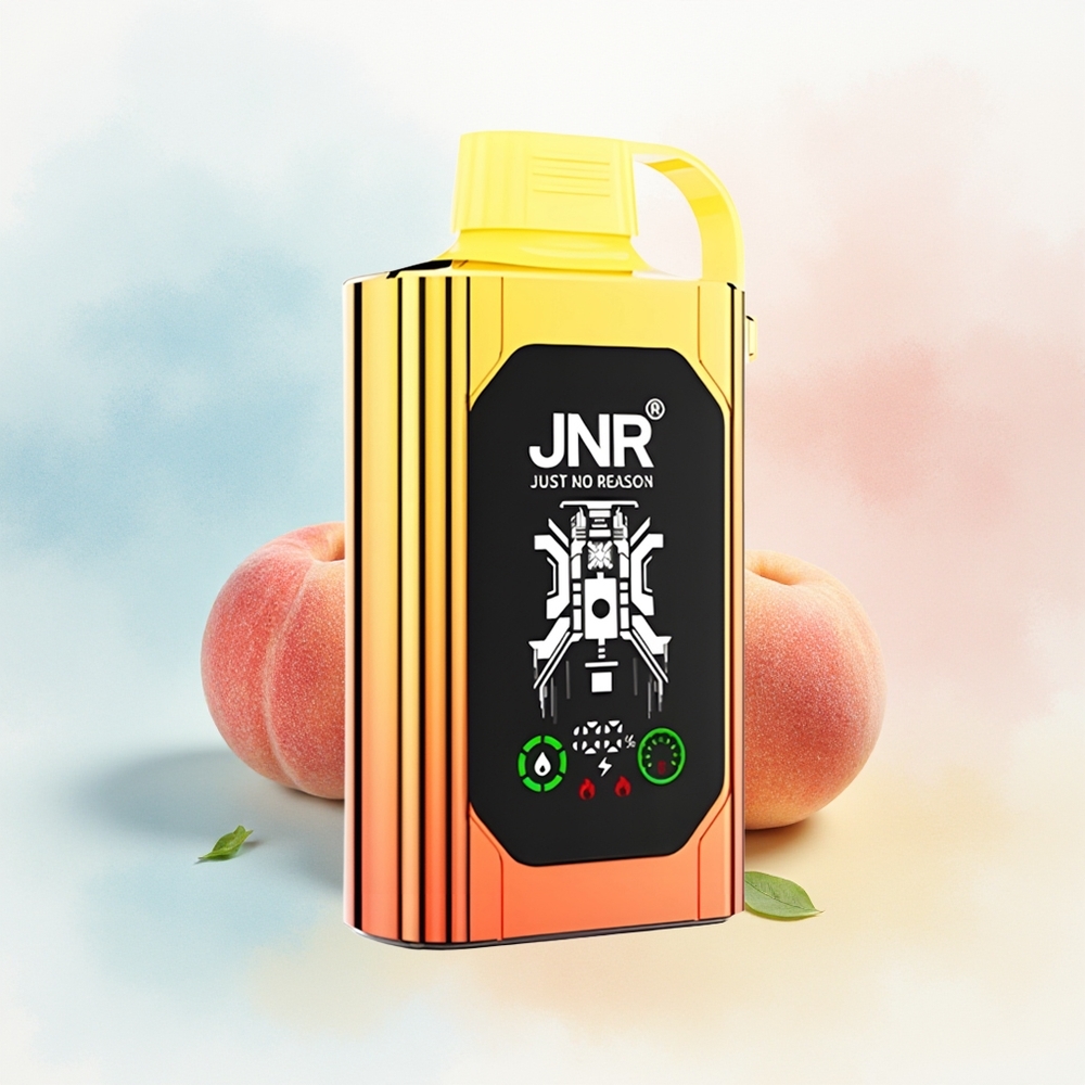 JNR Shisha Hookah Box 20500 Puffs 25ml Sultūsios Persikai Wholesale Lithuania