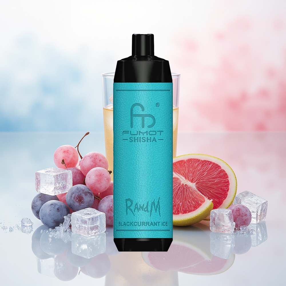 RandM Fumot Shisha 10000 Puffs 0.6ohm Mesh Coil Juodojo serbento ledas Wholesale Lithuania