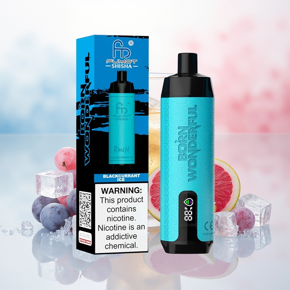 RandM Fumot Shisha 10000 Puffs 0.6ohm Mesh Coil Juodojo serbento ledas Wholesale Lithuania