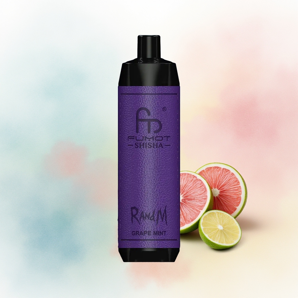 RandM Fumot Shisha 10000 Puffs 18ml LED Vynuogių Mėta Wholesale Lithuania