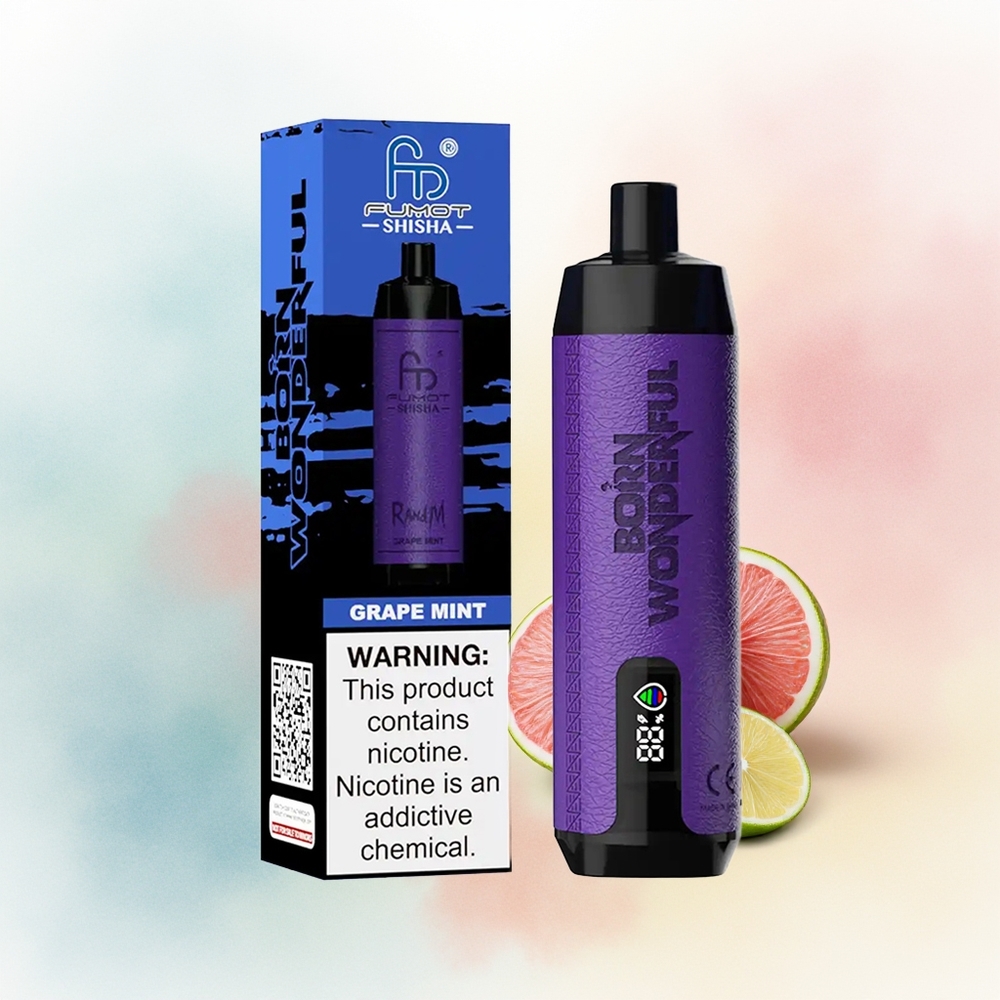 RandM Fumot Shisha 10000 Puffs 18ml LED Vynuogių Mėta Wholesale Lithuania